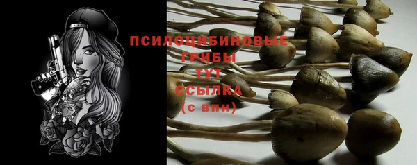 mdpv Алзамай