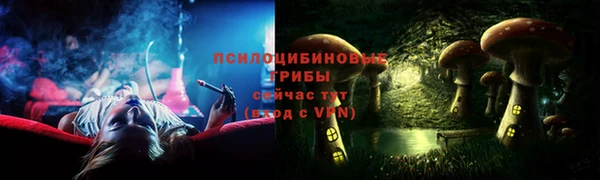 2c-b Алексин