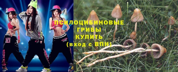2c-b Алексин